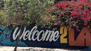 Read more about the article Angelino or Angeleno | The History Behind Our Name