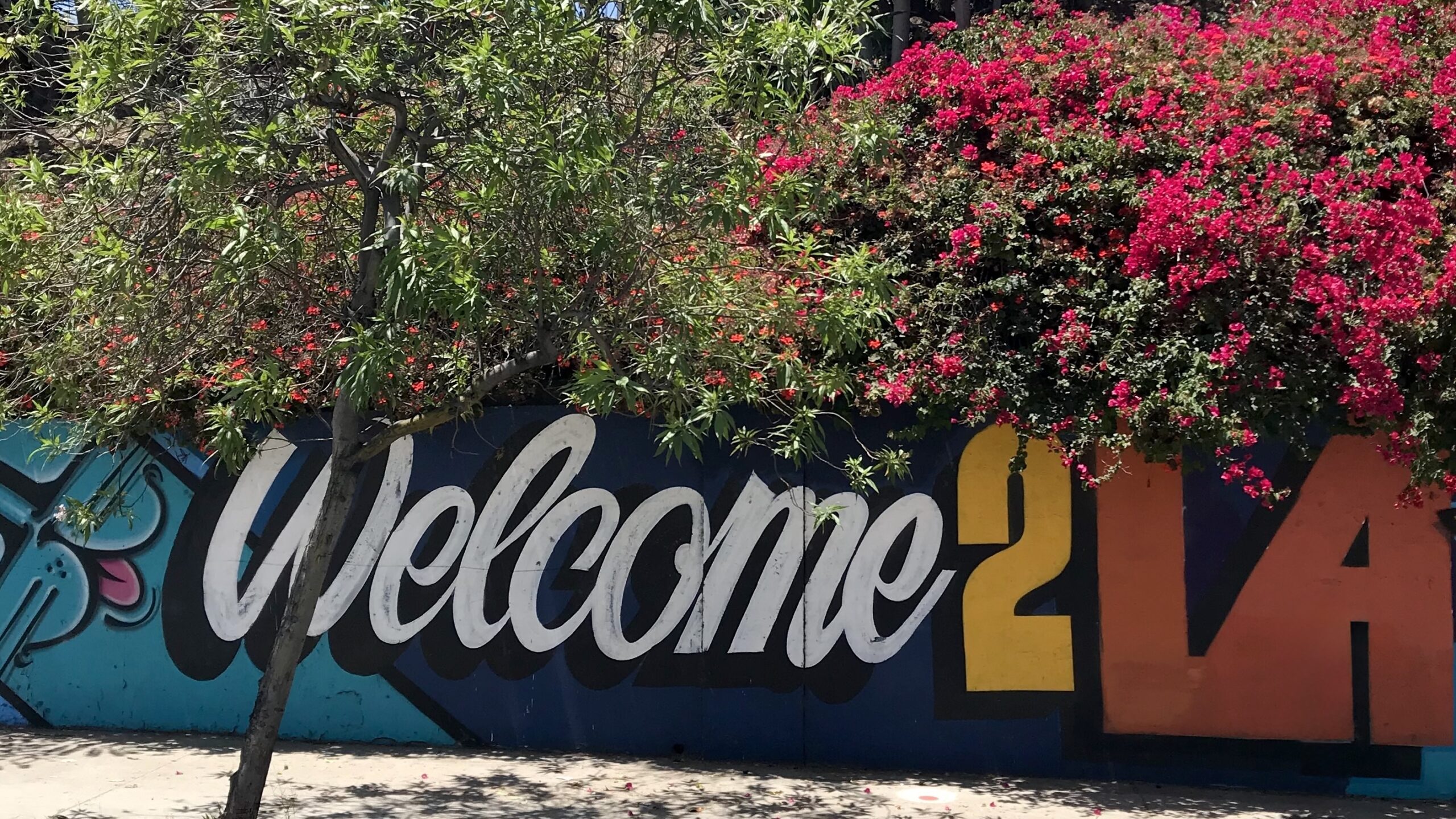 You are currently viewing Angelino or Angeleno | The History Behind Our Name