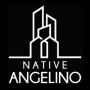 Native Angelino Real Estate - Logo - Tom Levine