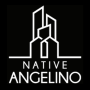 Native Angelino Real Estate - Tom Levine - LA Native